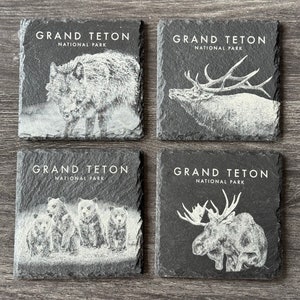 Wildlife Coasters Grand Teton Pack Set of Four Square image 1