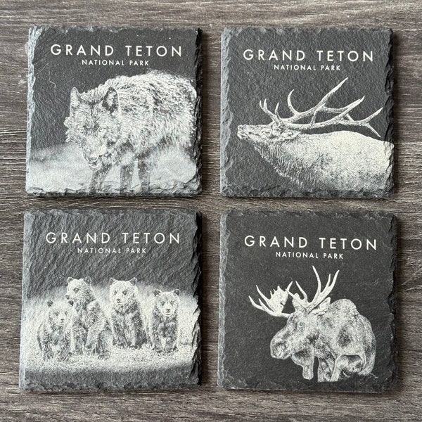 Wildlife Coasters - Grand Teton Pack - Set of Four - Square
