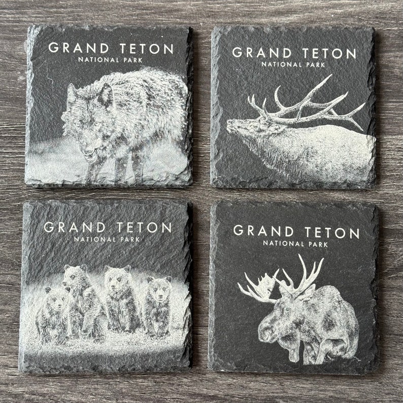 Wildlife Coasters Grand Teton Pack Set of Four Square image 1