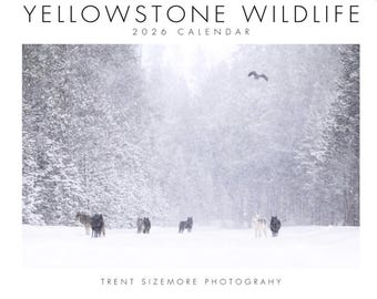 Calendario della fauna selvatica di Yellowstone 2026 - Fotografie naturalistiche di Trent Sizemore