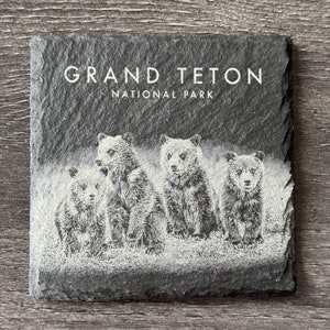 Wildlife Coasters Grand Teton Pack Set of Four Square image 3