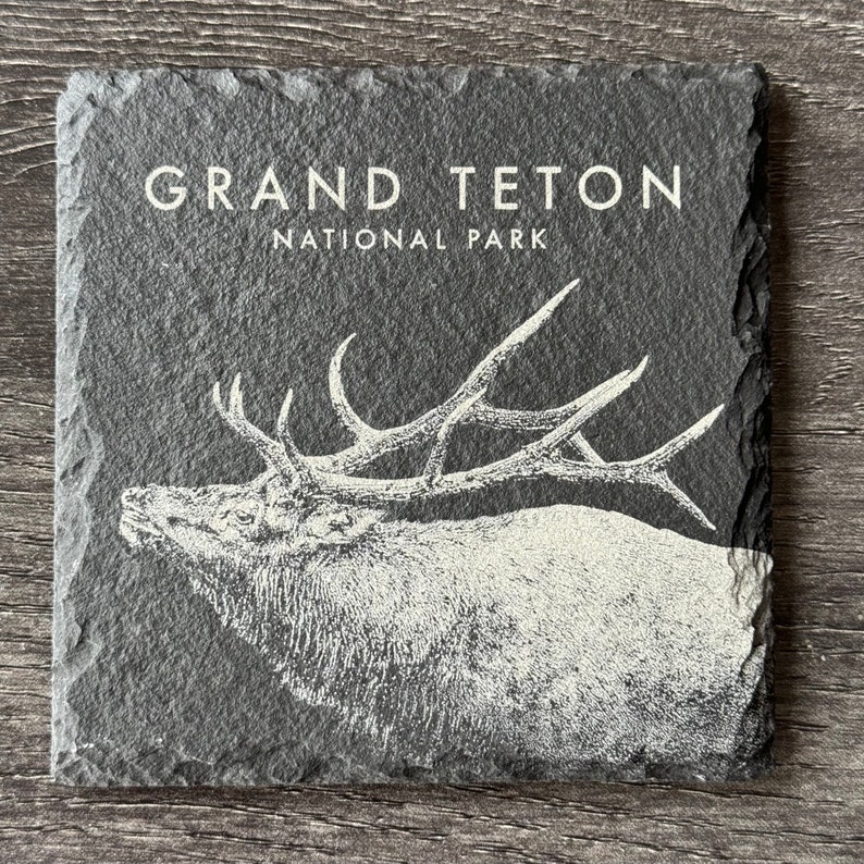 Wildlife Coasters Grand Teton Pack Set of Four Square image 5