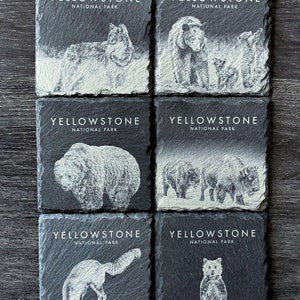 Wildlife Coasters Yellowstone Pack Set of 4/6/8 Square Set of 6