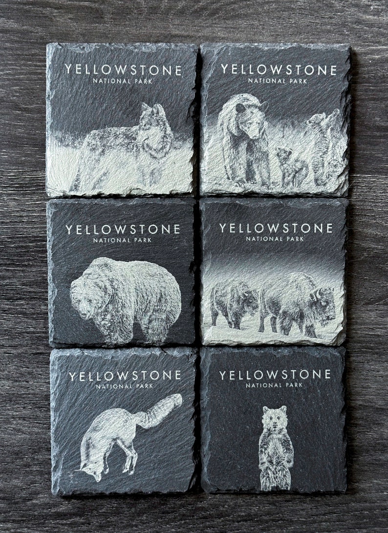 Wildlife Coasters Yellowstone Pack Set of 4/6/8 Square Set of 6