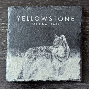 Wildlife Coasters - Gray Wolf in Snow