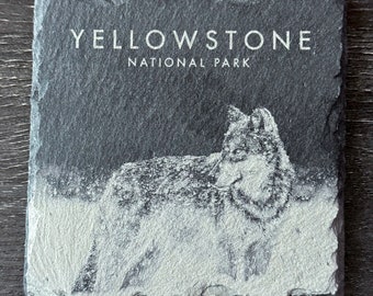 Wildlife Coasters - Gray Wolf in Snow