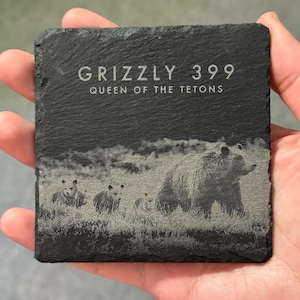 Wildtier-Untersetzer - Grizzly 399’s Quad Cubs - *Gewinne werden an Yellowstone & Grand Teton Bear Box-Programme gespendet*