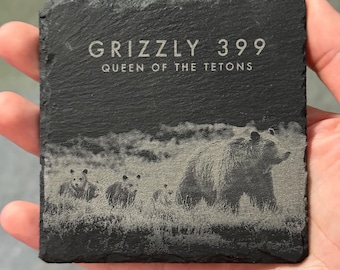 Wildlife Coasters - Grizzly 399's Quad Cubs - *Profitti donati ai programmi Yellowstone e Grand Teton Bear Box*
