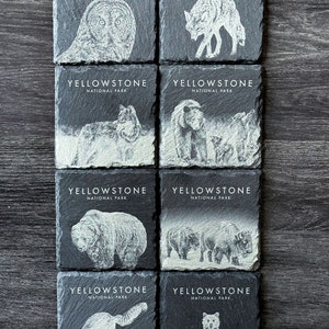 Wildlife Coasters Yellowstone Pack Set of 4/6/8 Square Set of 8