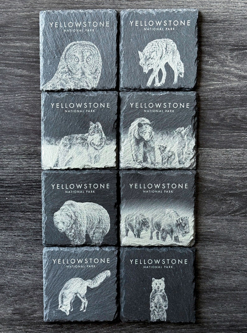 Wildlife Coasters Yellowstone Pack Set of 4/6/8 Square Set of 8