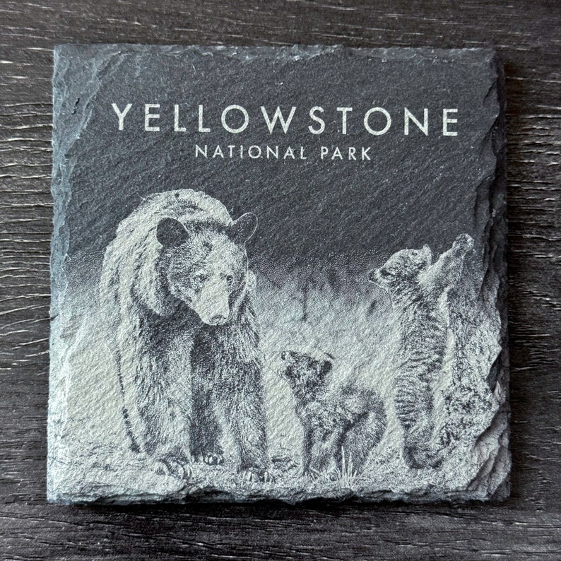 Wildlife Coasters Yellowstone Pack Set of 4/6/8 Square image 4