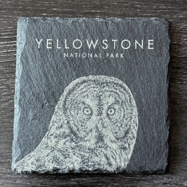Wildlife Coasters Yellowstone Pack Set of 4/6/8 Square image 9