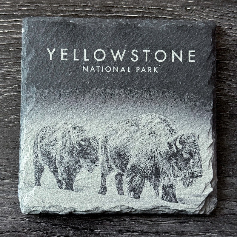 Wildlife Coasters Yellowstone Pack Set of 4/6/8 Square image 5