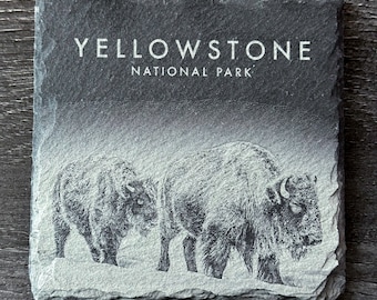 Wildlife Coasters - Two Bison in Snow