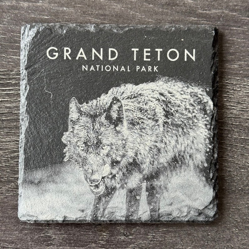 Wildlife Coasters Grand Teton Pack Set of Four Square image 2