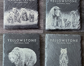 Wildlife Coasters - Bear Pack - Set of 4 - Square