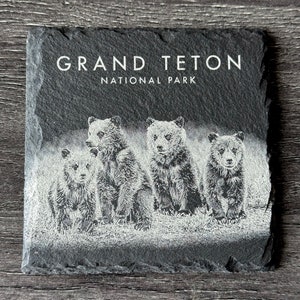 Wildtier-Untersetzer - Grizzly 399’s Quad Cubs - Grand-Teton-Nationalpark