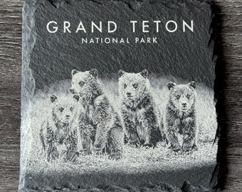 Wildlife Coasters - Grizzly 399’s Quad Cubs - Grand Teton National Park