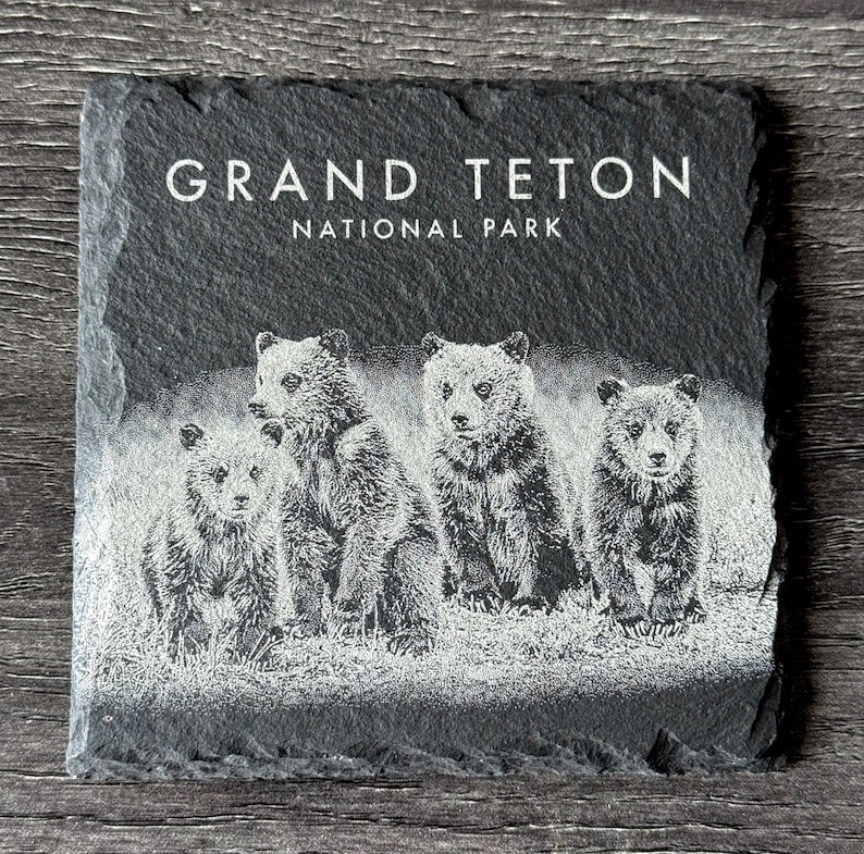 Pu&ograve; includere: Sottobicchiere in ardesia nera con un'immagine incisa in bianco di quattro cuccioli d'orso e il testo "Grand Teton National Park".