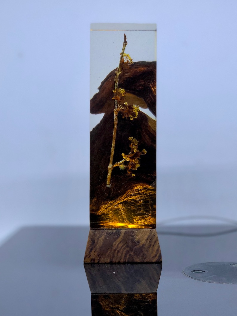 Night Light Epoxy Resin Wood Lamp Unique Decor Etsy