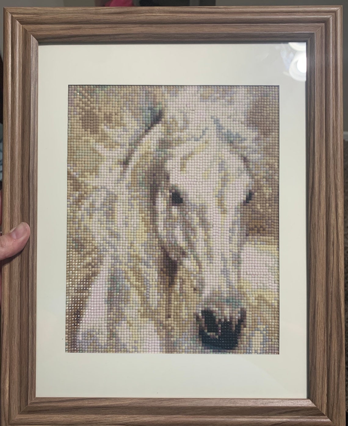 FINISHED Diamond Painting With Frame Etsy