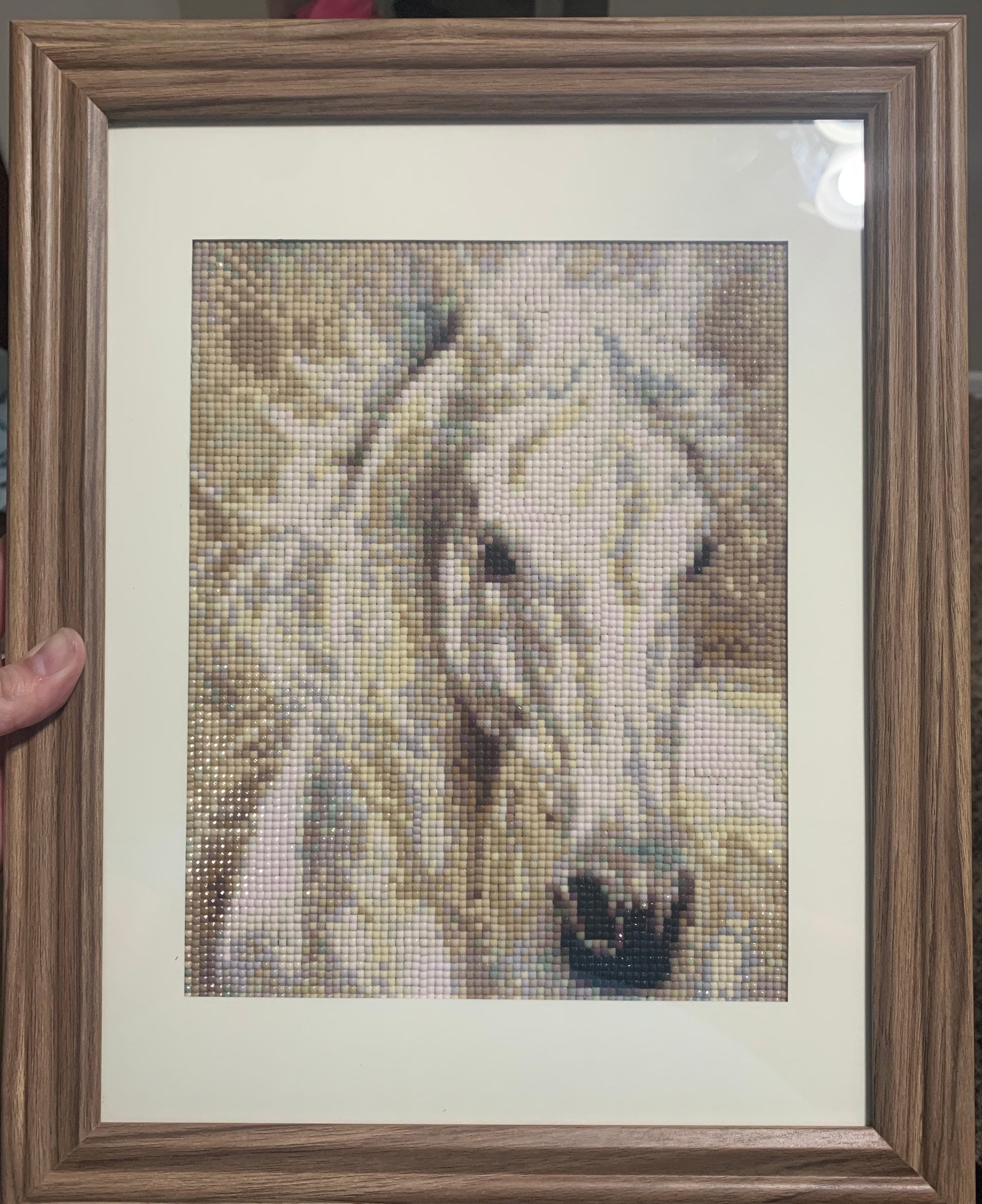 What Is A Diamond Painting Frame at wilmaphoggano blog