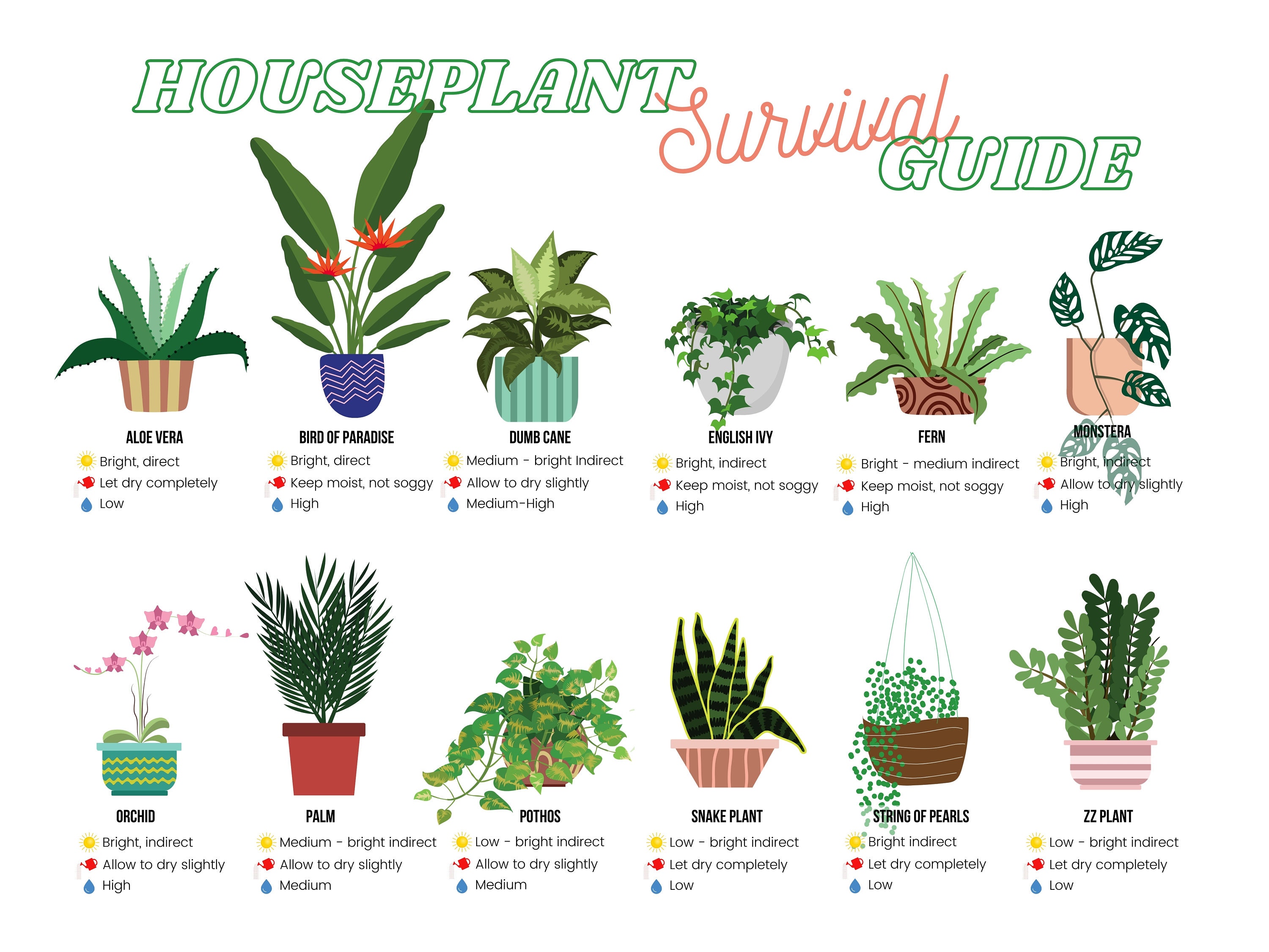 Houseplant Survival Guide Poster Wall Art / Indoor Garden Gift | Etsy