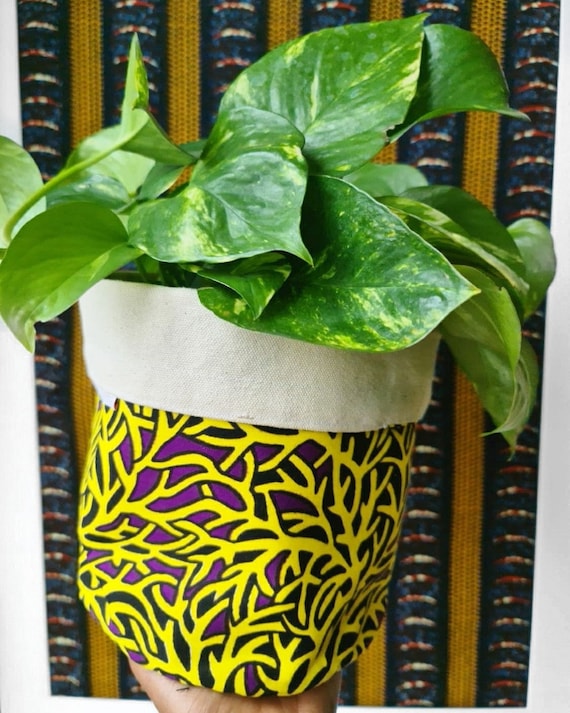 Ifiok storage pot, Ankara print