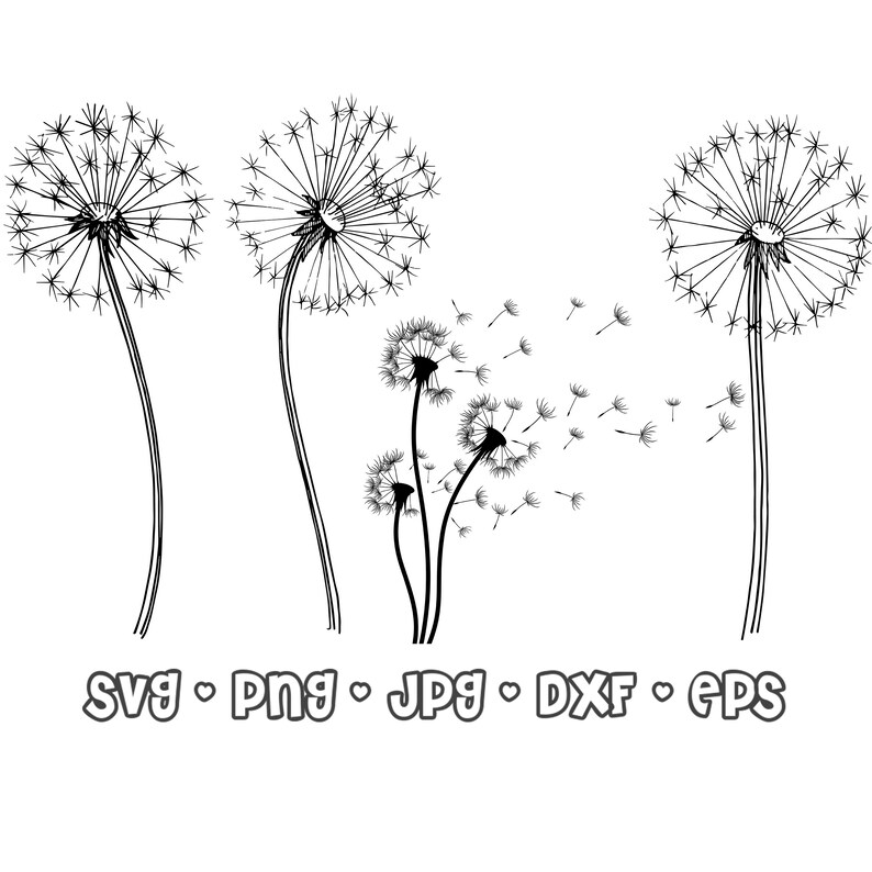 Download Dandelion Clip Art Wild Flower Vector Image Svg Png Jpg Dxf Eps Files Floral Digital Art Cut File Tender Flowers Clip Art Art Collectibles