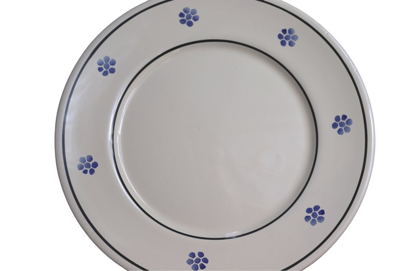 Pu&ograve; includere: Un piatto da portata in ceramica bianca con un bordo nero e disegni floreali blu intorno al bordo.