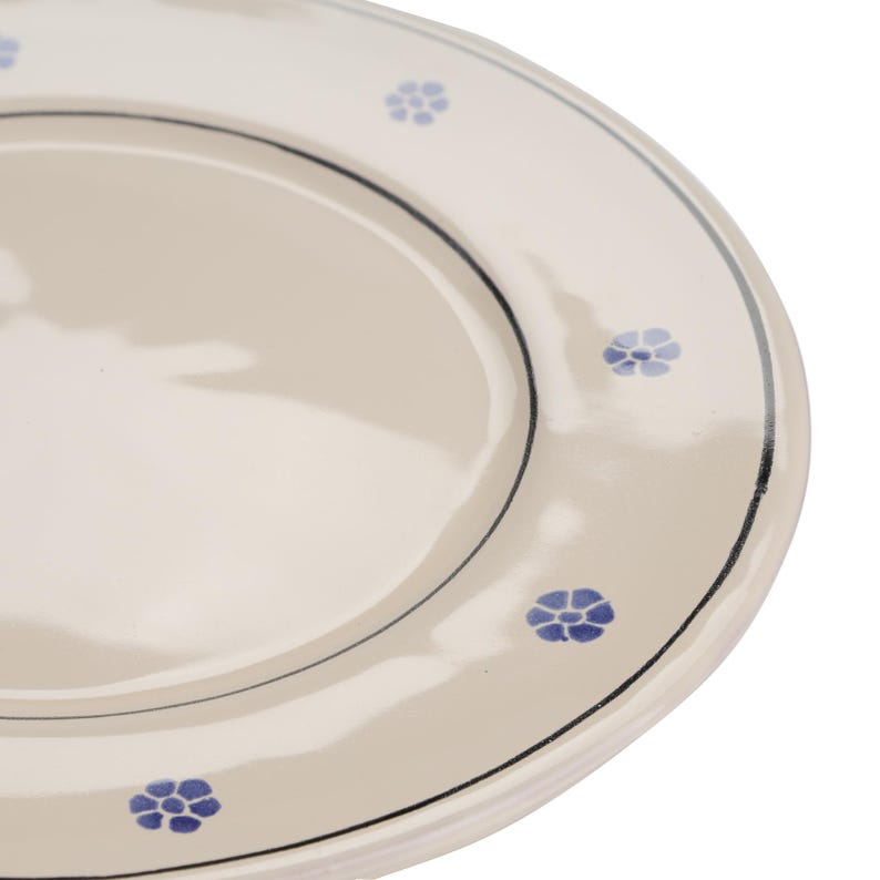 Pu&ograve; includere: Un piatto in ceramica bianca con un motivo floreale blu e un bordo nero. Il piatto ha una leggera curvatura sul bordo.
