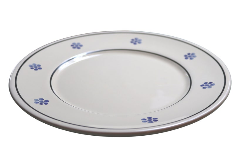 Pu&ograve; includere: Un piatto da portata in ceramica bianca con un bordo blu e un motivo di fiori blu intorno al bordo.