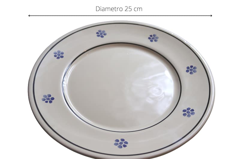 Pu&ograve; includere: Un piatto da portata in ceramica bianca con un bordo blu e un motivo di fiori blu intorno al bordo. Il piatto ha un diametro di 25 cm.