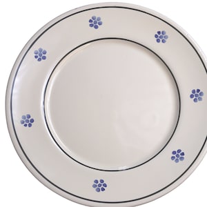 Pu&ograve; includere: Un piatto da portata in ceramica bianca con un motivo floreale blu intorno al bordo. Il piatto ha un bordo nero e un design semplice ed elegante.