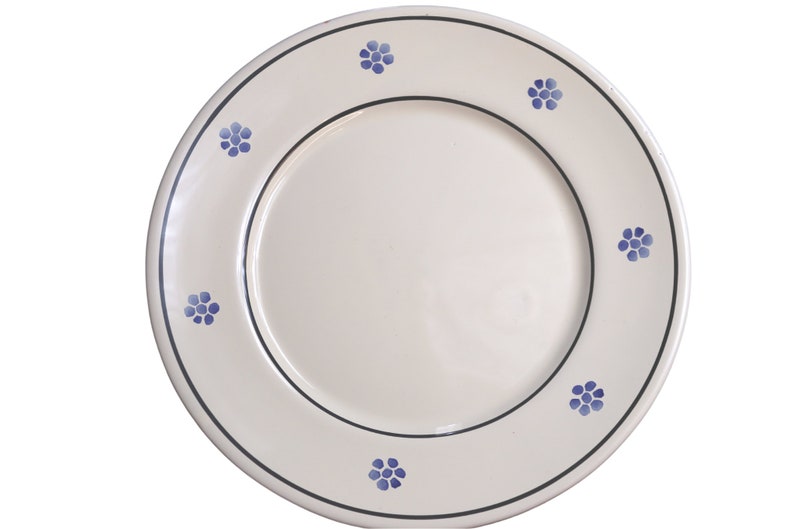 Pu&ograve; includere: Un piatto da portata in ceramica bianca con un motivo floreale blu intorno al bordo. Il piatto ha un bordo nero e un design semplice ed elegante.