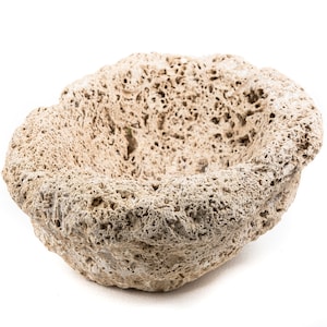 Può includere: Una roccia di colore marrone chiaro, porosa, a forma di ciotola con una superficie ruvida e testurizzata.