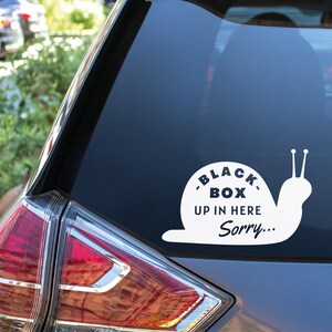 May include: A white snail sticker on a car's back window. The snail has a black circle on its shell with the text "BLACK BOX UP IN HERE Sorry..."