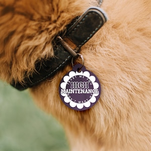 Puede incluir: Una chapa de perro morada con texto blanco que dice "Trust me you high maintenance don't want me".