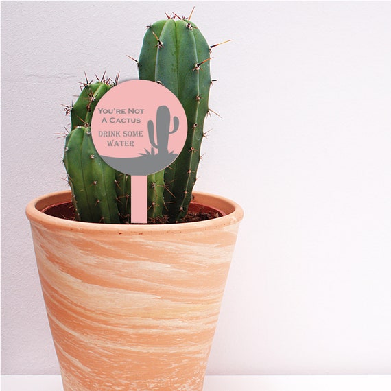 You're Not A Cactus Drink More Water Stay Hydrated Reminder Plant Tag - Etsy