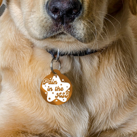 Pain in the Ass - Stars Personalised Dog ID Collar Tag: Custom Pet