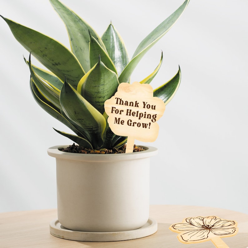 May include: A potted snake plant with green and yellow leaves. A wooden sign with the text "Thank You For Helping Me Grow!" is placed in the pot. The pot is a light grey colour.
