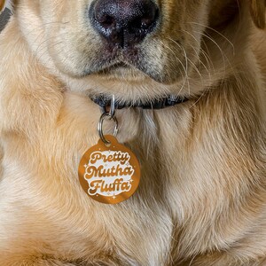May include: A golden retriever dog wearing a black collar with a round, orange dog tag that says "Pretty Mutha Fluffa" in white text.