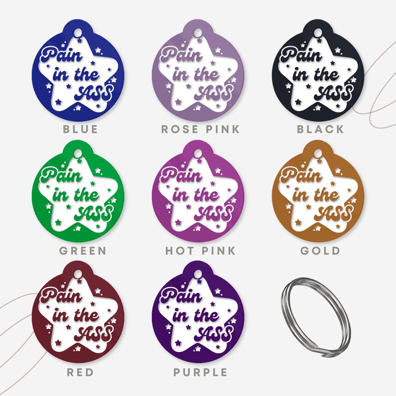 Peut inclure: Neuf porte-cl&eacute;s ronds en forme d'&eacute;toile de diff&eacute;rentes couleurs, chacun avec le texte "Pain in the ASS" en blanc. Les couleurs sont bleu, rose bonbon, noir, vert, rose bonbon, or, rouge, violet et argent.