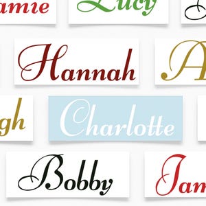 K&ouml;nnte beinhalten: Eine Sammlung von Namensaufklebern in verschiedenen Farben und Schriftarten. Namen wie "Jamie", "Lucy", "Hannah", "Charlotte", "Bobby" und "James" sind zu sehen. Die Namen sind auf rechteckigen Hintergr&uuml;nden, "Charlotte" auf hellblauem Hintergrund.