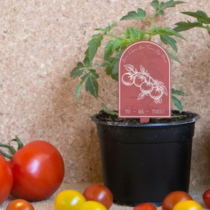 From My head To - Ma - Toes Plant Tag: Personalised Mother's Day Gift, Cute Plant Accessory, Gift For Mum, Plant Lover, Mum Appreciation zdjęcie 2