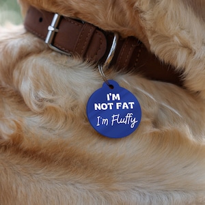 May include: A blue dog tag with white text that reads "I'm not fat I'm fluffy" hanging from a brown leather dog collar.