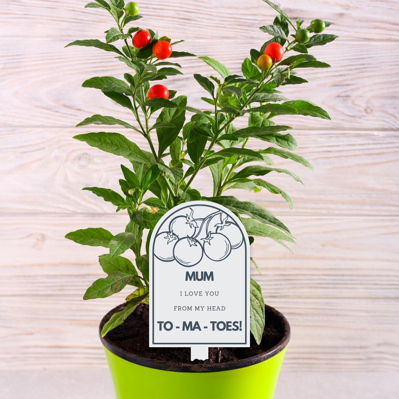 Pu&ograve; includere: Un vaso verde con una piccola pianta con bacche rosse e un'etichetta di pianta bianca che dice "MAMMA TI AMO DALLA TESTA AI PIEDI!"