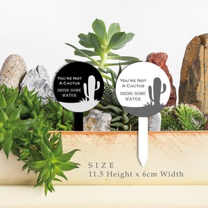May include: Two black and white round plant markers with the text "You're not a cactus, drink some water" and a silhouette of a cactus. The markers are 11.5 inches tall and 6 centimeters wide.