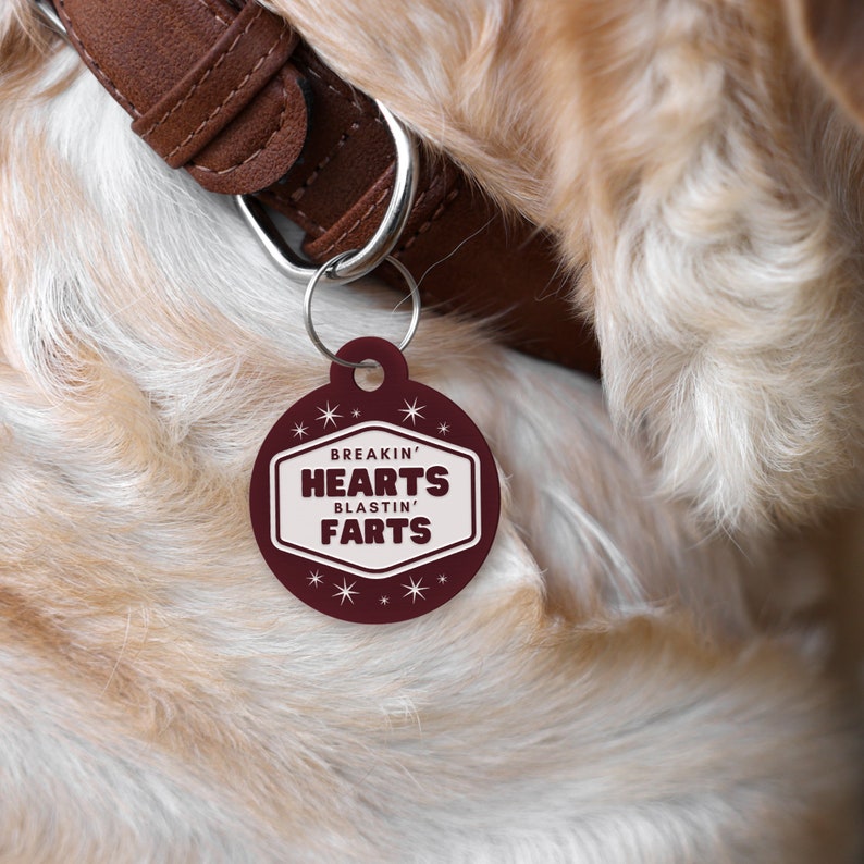 May include: A burgundy pet tag with the text "BREAKIN' HEARTS BLASTIN' FARTS" in white. The tag is attached to a brown leather dog collar with a silver metal clasp. The dog has light brown fur.