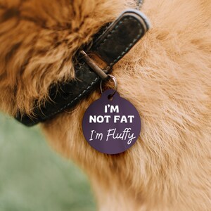 May include: A close-up of a dog's fur with a purple dog tag that reads "I'm not fat I'm fluffy".